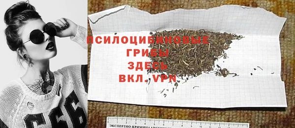 гидропоника Абаза