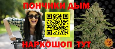 прущий лед Канаш