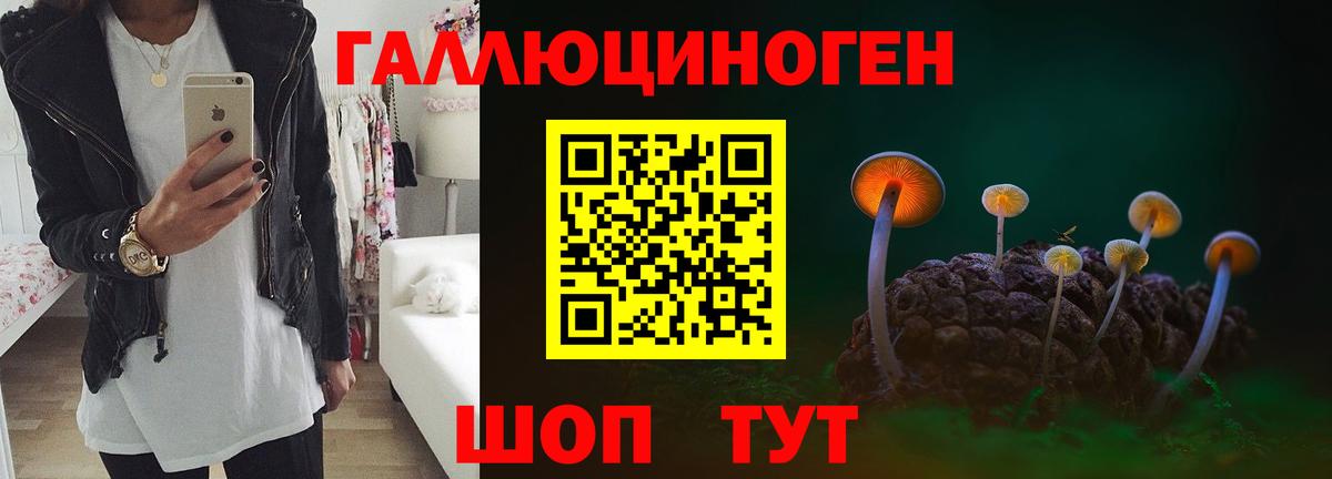 Псилоцибиновые грибы MAGIC MUSHROOMS  Вход с VPN  Моздок 